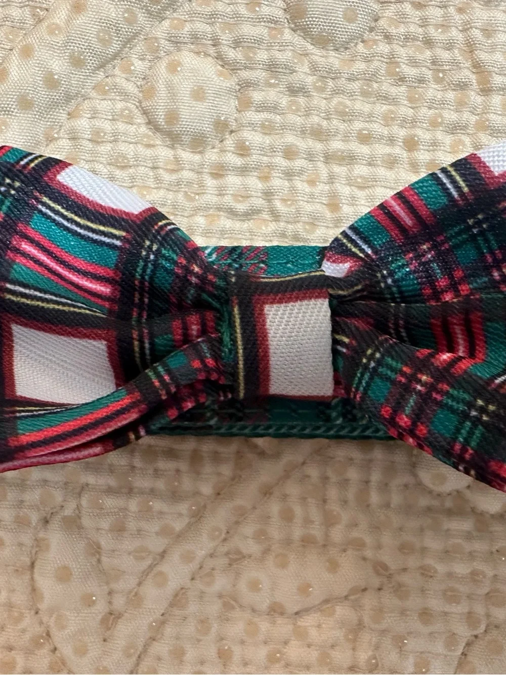 Merry & Bright Holiday Plaid Dog Collar with Bow - Green